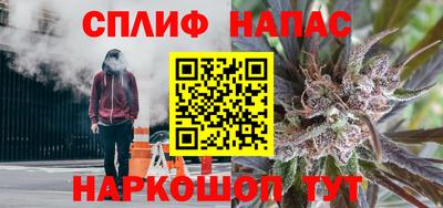 МДПВ Волгодонск